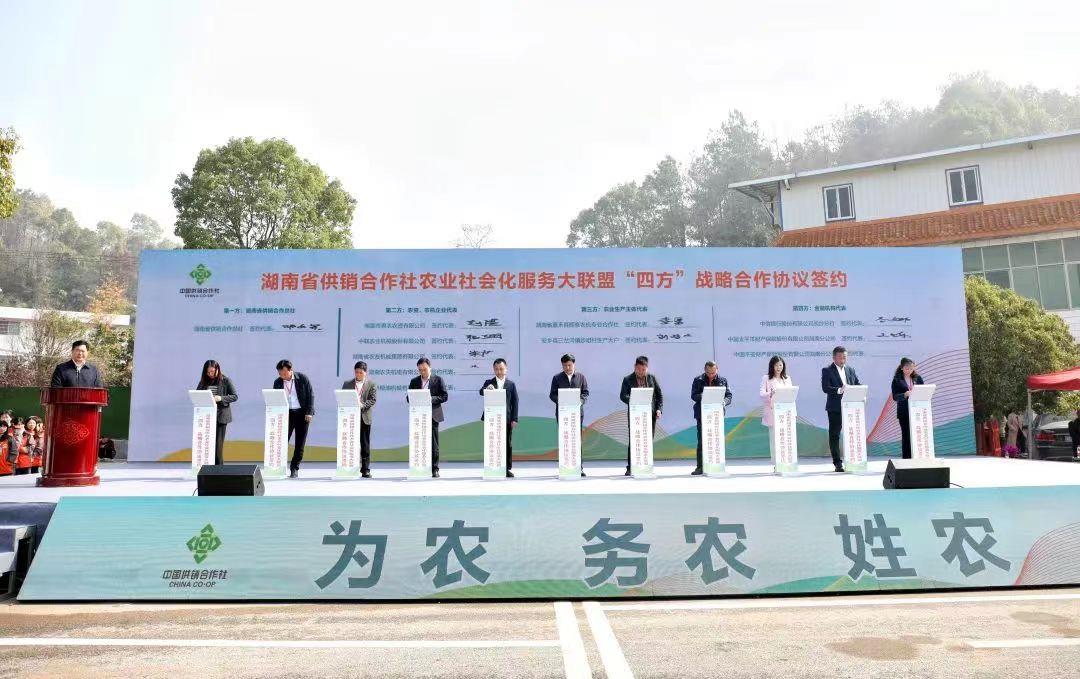 MS88明升·(中国大陆)登录